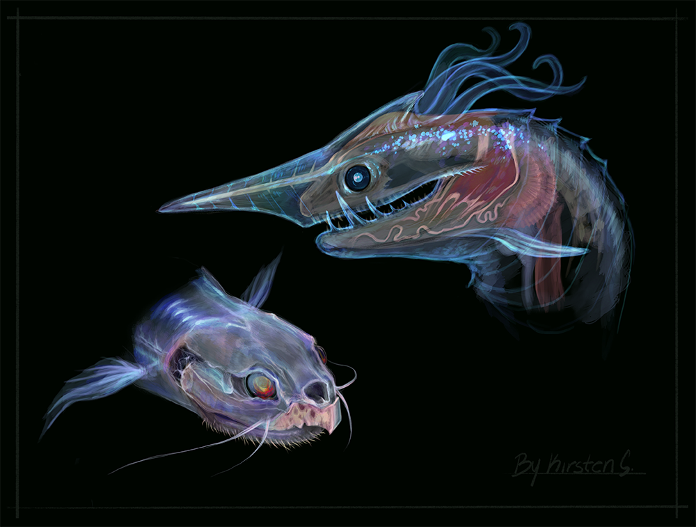 Sea creature character design
